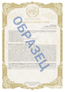 Образец Приложение к СТО 01.064.00220722.2-2020 Зеленогорск Сертификат СТО 01.064.00220722.2-2020 